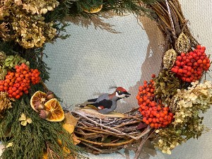 �����������