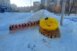 �����������